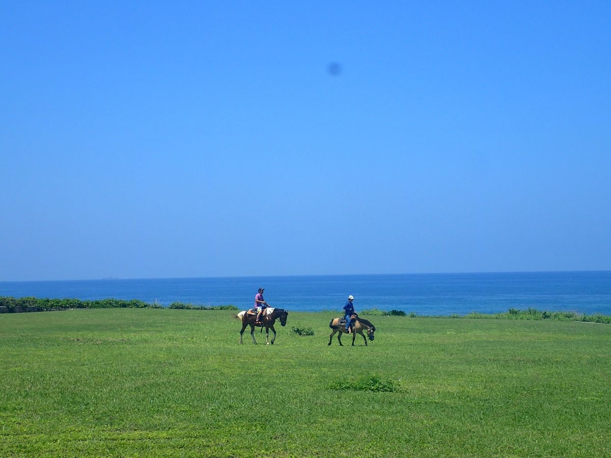 乗馬